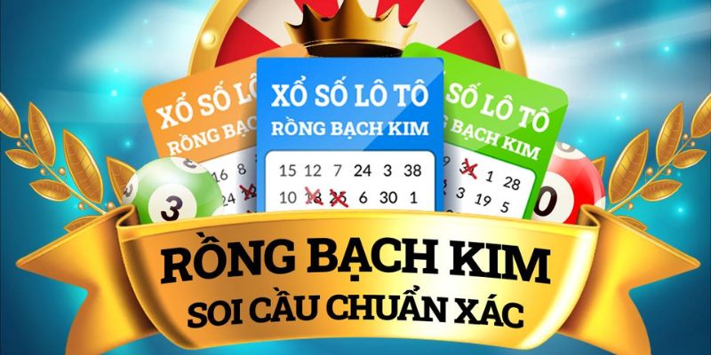 Giới thiệu cho newbie về Soi cầu Rồng Bạch Kim